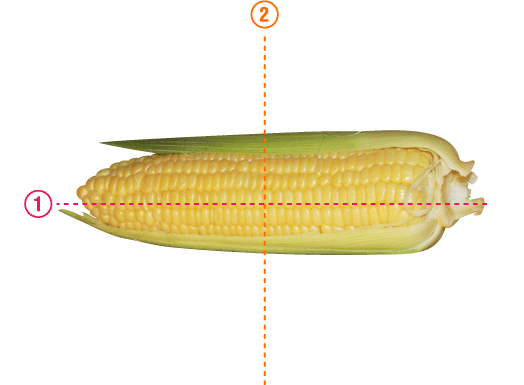 とうもろこし