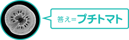 答え＝プチトマト