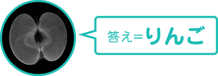 答え＝りんご
